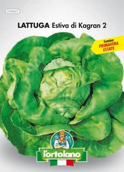 Sementi orticole di qualità l'ortolano in busta termosaldata (160 varietà) (LATTUGA ESTIVA DI KAGRANER SOMMER 2)