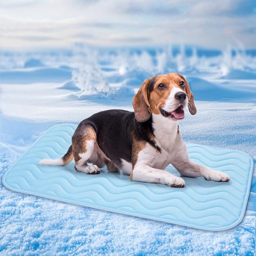 BaoDan Tapis Rafraichissant Chien,75x50cm Tapis Rafraichissant pour Chien