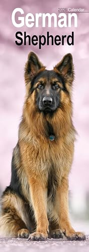 German Shepherd Slim 2026 Calendar | Slimline Wall Calendar | Dog Breed Gift | Plastic Free Packaging | by Avonside Publishing