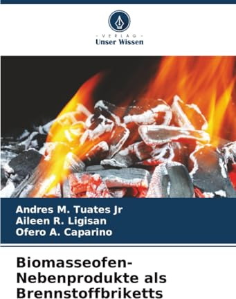 Biomasseofen-Nebenprodukte als Brennstoffbriketts