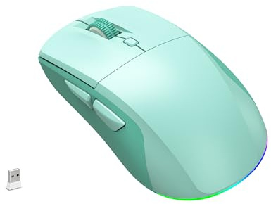 LeadsaiL Bluetooth Wireless Mouse, Rechargeable Dual Mode Computer Mouse with Side Buttons, Ergonomic Design, Silent Click, Adjustable DPI 800-4000, Compatible with MacBook, Windows Computers/Laptop