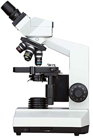 3B Scientific U30803 Microscopio Digitale Binoculare, con Videocamera Incorporata