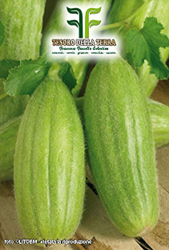 Semi Carosello di Polignano,Mondonatura Srl