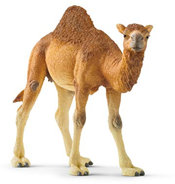 schleich WILD LIFE | Dromedario 14832 |figura animale dettagliata e realistica |gioco da zoo educativo |regalo per bambine e bambini | decorazione per compleanno | giocattolo da 3 anni |14 x 4 x 10 cm