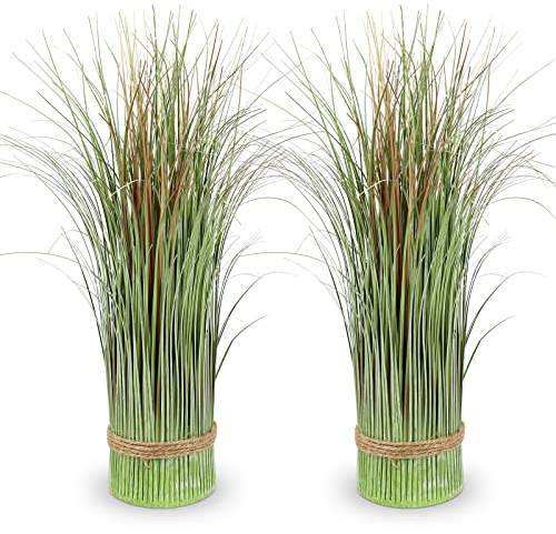 2 plantas artificiales de hierba de las pampas, plantas falsas de cebolla verde sintética, decoración de plantas artificiales de pie para el hogar, oficina, hotel, fiesta, decoración de boda