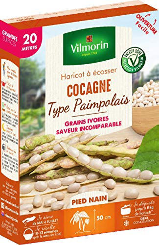 Vilmorin Haricot Cocagne Type Paimpolais Boite série 20m Nain, Vert