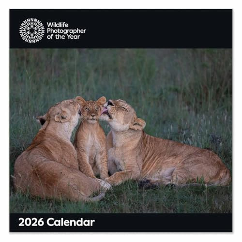 Calendrier mural carré 2026 avec photographe animalier de l'année
