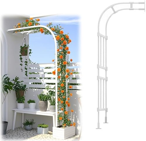 Arche de jardin en métal pour plantes grimpantes Demi-arc Rosier Tonnelle de soutien durable Tailles 60/90/180/200/300/350/400 cm Blanc (250 x 267 x 60 cm)