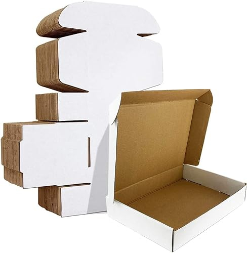 HORLIMER 25 Stück Versandkarton Klein Karton Box, 280x204x51mm Verpackungskartons mit Deckel für Warensendung, Geschenkbox, Faltkarton, Postkarton(Weiß)