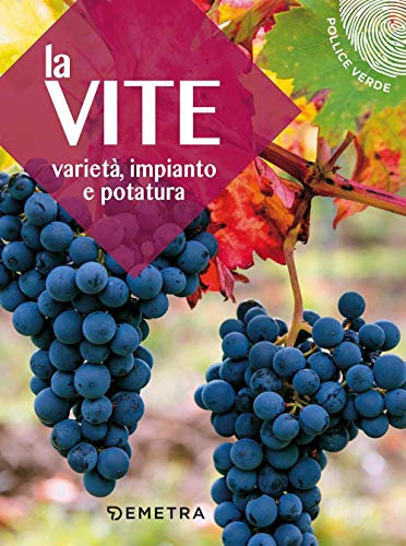 La vite: Varietà, impianto e potatura