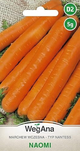 WegAna Semillas de Zanahoria 5g, Alrededor de 4500 Semillas, Semillas de Zanahoria Naomi, Semillas de Hortalizas Robustas, Semillas de Hortalizas, Semillas de Cultivo, Semillas para Invernadero