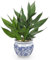 Arborus Artificial Lucky Bamboo Plant Indoor in Ceramic Pot 12.5 Small Artificial Bamboo Plant in Blue and White Porcelain Planter Pot Fake Bamboo Plants Potted for Home Kitchen Bathroom Decor