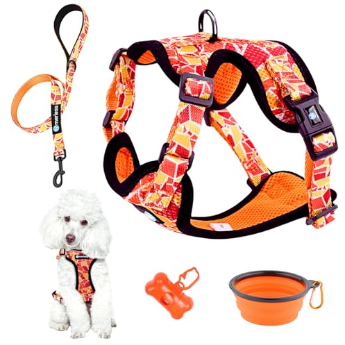 Arnés y Correa para Perro Cachorro Gato Arnes de Perros Arnes Anti Tirones Transpirable Acolchado Tamaño Mediano como Jack Russel o Gato Maine Coon Peso Ideal 7-11,5kg (Talla M Naranja, Lote de Paseo)