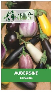 Planète graines - sachet 1 gramme graines Aubergine en mélange environ 200 Graines casper/longues/barbentane et listada de grandia