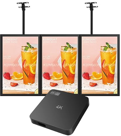 Lunzn Digital Signage Advertising Display Box for Restaruant Shopping Mall Marketing Business Commercial AD Media Player(YM05/1+8G)