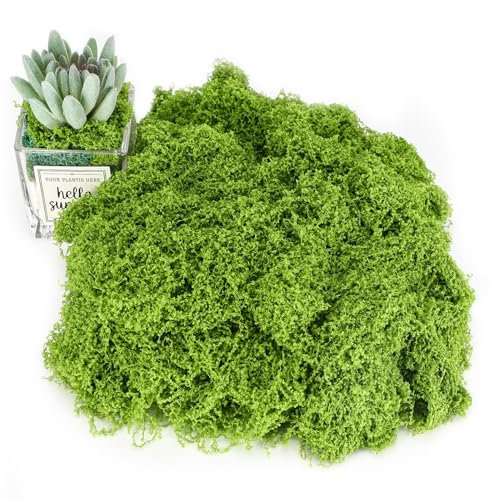 Tapvai 200g Kunstmoos Zum Dekorieren, Moos Deko, Zum Basteln, Islandmoos, Moos Konserviert, Künstliches, Kunstmoos Zum Basteln, Mooswand, Moosbild, Fake Pflanzen für Aquarium