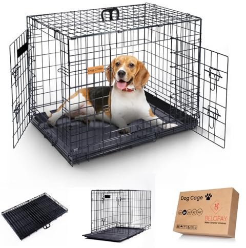 BELOFAY Heavy-Duty Folding Dog Crate | 30-Inch Metal Frame Dog Cage with Dual Access Doors, Chew-Resistant Removable Base Tray, Sliding Lock & Carry Handle – Ideal for Puppy Training & Travel