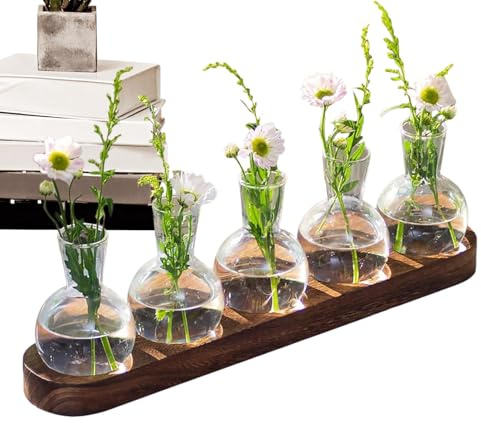 Plant Propagation Stand | Hydroponic Vases for Indoor Plants,Hydroponics Glass Vase Transparent Bud Vases with Wooden Tray, Plant Terrarium Propagation Station,