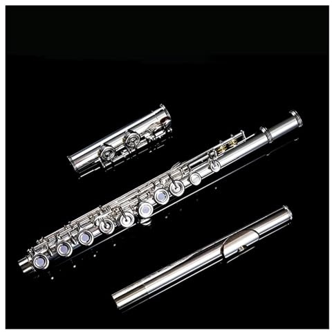 tvärflöjt instrument Flöjt 16 hål vuxen nybörjare professionellt spelar flöjtinstrument