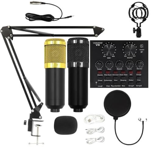 Microphone Set, Streaming Audio Kit, Recording Equipment, Plug and Play Microphone System, Interactive Noise Reduction Technology for Podcasting, Singing, Gold, Black, Voiceovers, Home Studio Use