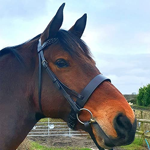Horse Riding Hunter Bridle - Pony Plaited Browband and Noseband with Strong Reins and Stainless Steel Fittings - Racing Jumper Ring Show Para-Equestrian Training Equipment (Cob, Brown)