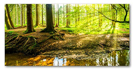 Tulup Splashback 39.37x19.68 inch / 100x50cm Glass Panel Wall Protection Induction Cooker Tempered Glass Toughened Safe Glass Kitchen Panel Splash-back Kitchen - Green - Sunbeams forest