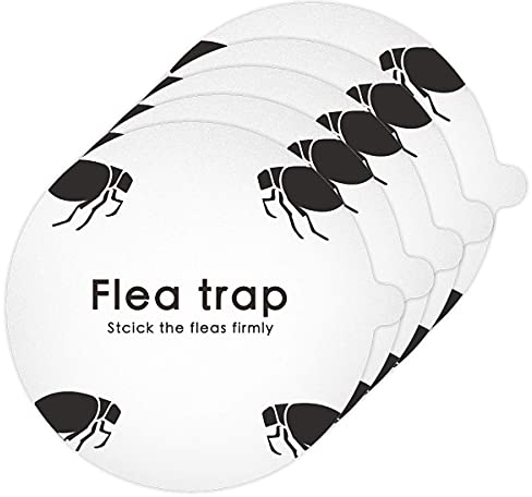 Flohfalle, Scheiben, Fallen Schädlingsbekämpfung, ungiftig, keine Insektizide, Falle, beste Schädlingsbekämpfung für Zuhause, 5 Stück