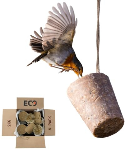 Eco Bird Food Seasonal Suet Cones – 2kg Pack of 6 – Plastic-Free, Recyclable, Biodegradable Packaging – Low-Waste, High-Energy Wild Bird Feed – UK-Made with Seasonal Ingredients