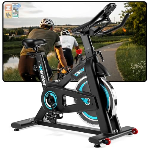 WENOKER Vélo d'Appartement pour la Maison, Vélo de Fitness d'Exercice avec Résistance Réglable, Écran LCD, Siège Confortable, pour Entraînement Cardio