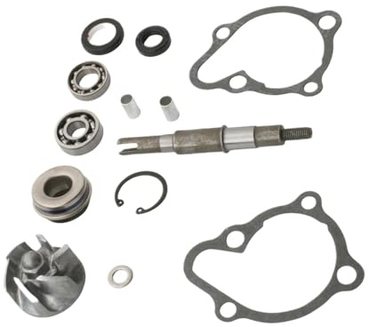 Water Pump Repair Kit Compatible With GTS250 GTS300 Cruisym250 Cruisym300 Joymax250 Joymax300
