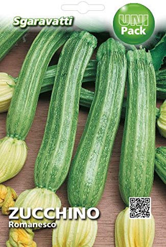 SGARAVATTI Busta Semi Orto Zucchino Romanesco