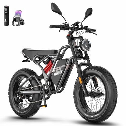 Fafrees F20 ULTRA Bici Elettrica Fatbike, Pneumatici Fat 20 * 5.0 Pollici Ebike, Batteria 48V/25Ah, Mountain Bike Elettrica Da Uomo, Autonomia 80-140 KM (Grigio)