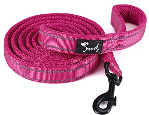 PETTOM Hundeleine Reflektierend Leine aus Nylon mit Weich Gepolsterter Griff und Metallhaken für Training, Robuste Leine Hund für Kleine Mittel Große Hunde (Rose 110 cm)