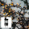 hellum LED Lichterkette außen Cluster, 23,98m 1200 LED Cluster Lichterkette warmweiß mit Timer, Strombetrieben indoor & outdoor, Weihnachtsbaumbeleuchtung mit Kabel <59 lm 577648