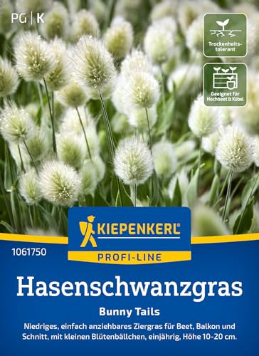 Kiepenkerl Profi-Line Hasenschwanzgrassamen Bunny Tails 1061750 - Fluffiges und niedriges Ziergras für verspielte Arrangements - Wildblumensamen, Blumenwiese