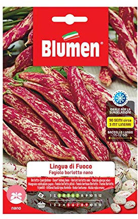 SEMI FAGIOLI BORLOTTI NANI LINGUA DI FUOCO BLUMEN