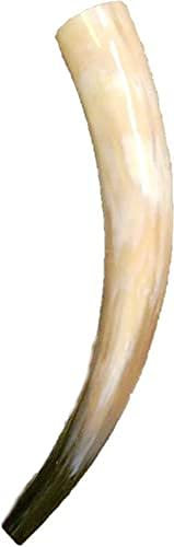 1 Hirschlocker Blashorn Rufhorn ca. 35-40 cm lang Farbe-hell-dunkel fertig poliert 10mm Blasloch fix und fertig Germanenhorn Wikinger oder für den Nachtwächter