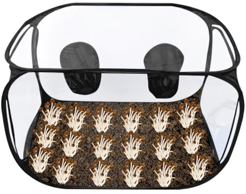 BORDEAG Still Air Box, Stillluftbox Für Pilze, Mushroom Grow Box, 60x60x90 cm Anzuchtstationen Growzelt-Set Pilzzuchtzelt Faltbare Pilzzuchtset Für Pilzliebhaber, Gartenbaubedarf(Schwarz)