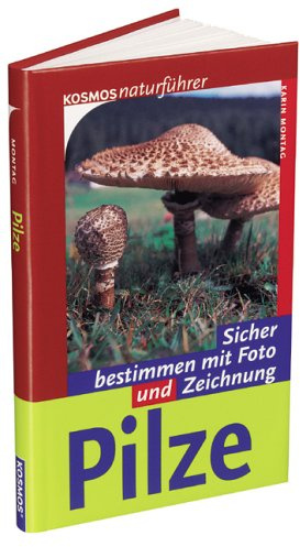 Pilze: Sicher bestimmen mit Foto und Zeichnung