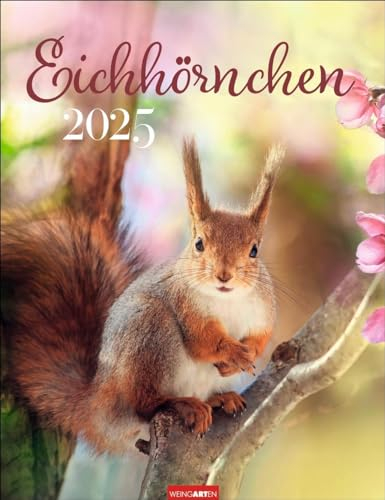 Calendario 2025 de ardilla, calendario de pared, calendario de fotos con bonitas imágenes de ardilla y citas para cada mes. Calendario de animales con... 30 x 39 cm (calendario animal viñedo)