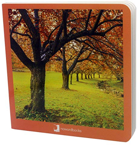 Otoño: 19 (Mis Primeras Imágenes)