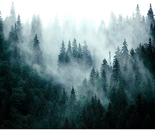 murando Fototapete selbstklebend Wald Nebel 294x210cm Foto Tapete Tapetenfolie Möbelfolie Wandverkleidung Wandtapete Motivtapeten Bildtapete Wohnzimmer 3d Effekt Modern Natur Landschaft skandinavisch