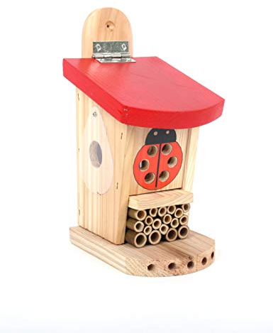 Wildlife World Live Marienkäferhütte, rot/braun