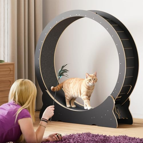 Rueda de Ejercicio para Gatos, Rueda Grande de 104 cm/117 cm para Gatos de Interior, Rueda para Correr con Alfombra Desmontable y Juguete para Correr, Caminar Entrenar, Adecuada Black-L
