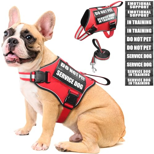 MOOGROU Service Dog Vest Harness and Leash Set+10 Patches,No Pull&Adjustable Reflective Dog Harness with Soft Padded Handle for Training/Everyday,Fit Small/Medium/Large/Extra-Large Dogs(Red M)