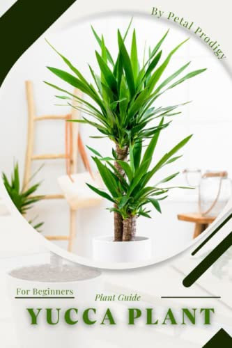 Yucca Plant: Prodigy Petal, Plant Guide