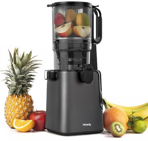 H.Koenig Extracteur de Jus Fruits et Légumes Vertical GSX26 - Sans BPA, Large Ouverture 135 mm, Pression Douce 50 tr/min, Acier Inoxydable, Silencieux, 250 W, Anti-Gouttes, Lavable Machine