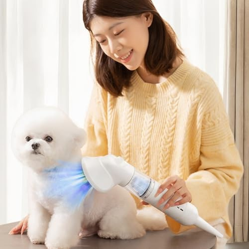 Kit di Vuoto per Cani Aspirapolvere per Animali Domestici, S, 4200pa, Aspirapolvere per Cani per Spalmare la Pulizia della Casa, 3 Kit di Toilette per Strumenti, Rimozione