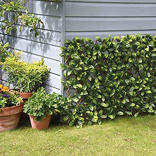 Garden Mile Panneau de clôture en feuille d'érable pour jardin, treillis artificiel - Panneau mural topiaire extensible - 180 x 60 cm
