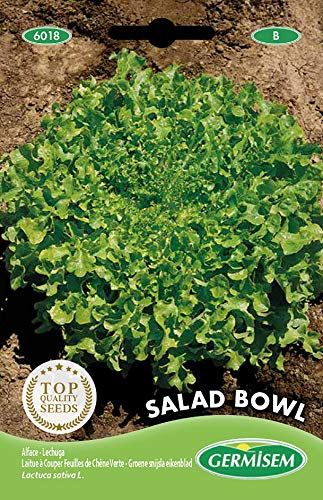 Germisem Salad Bowl Graines de Laitue 5 g EC6018 Multicolore